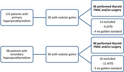 Differentiating thyroid nodules parathyroid lesions using 2D-shear-wave elastography: a novel approach for enhanced diagnostic accuracy